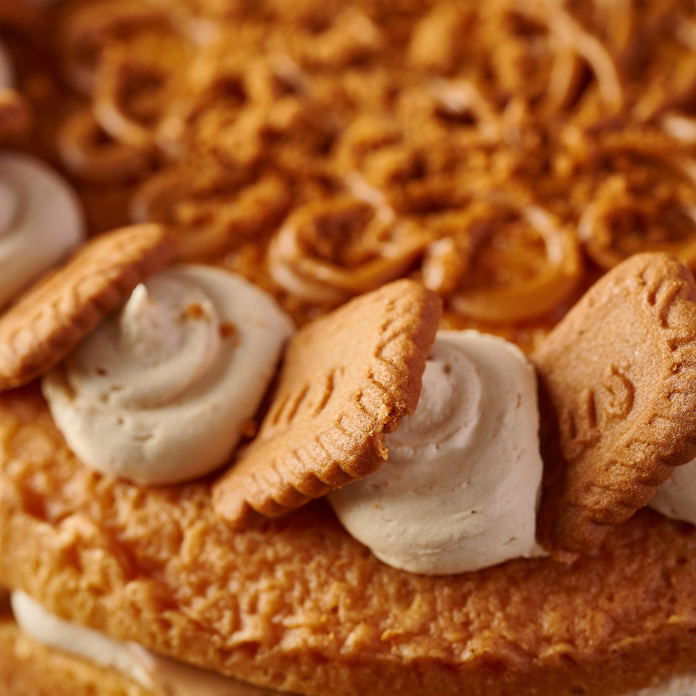 Biscoff Cake (14 Portions)